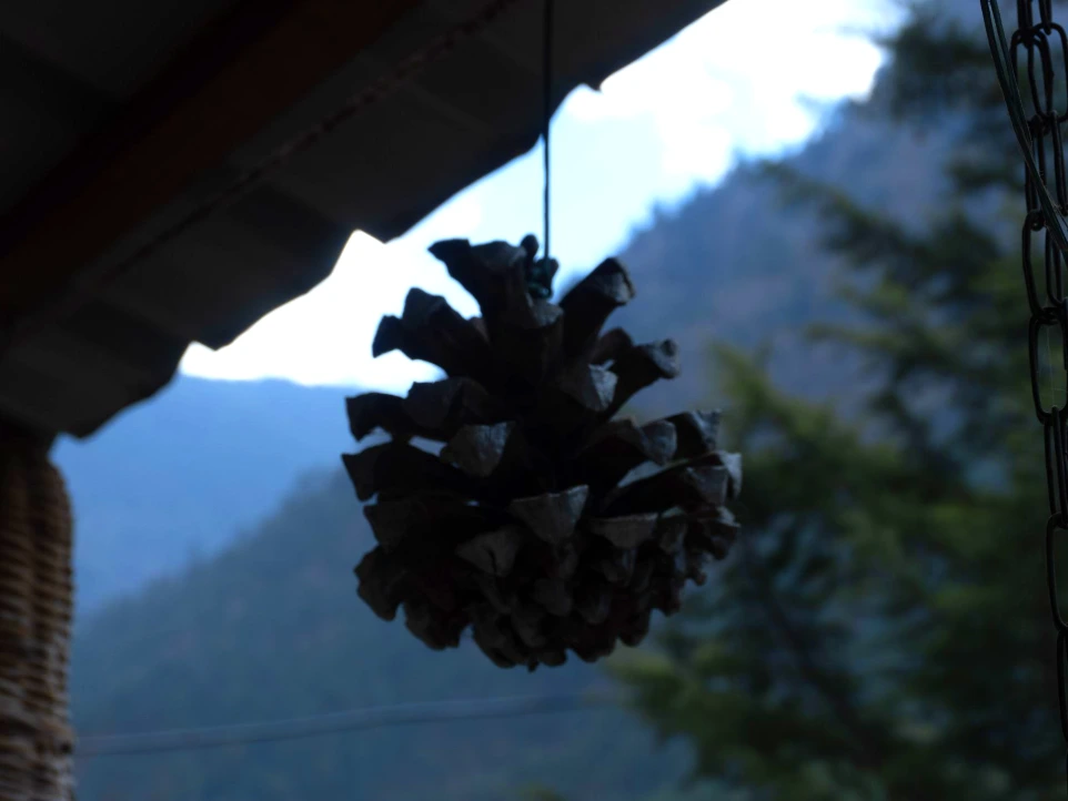 Peaceful surroundings near Tirthan River at Tirthan Midpoint Homestay