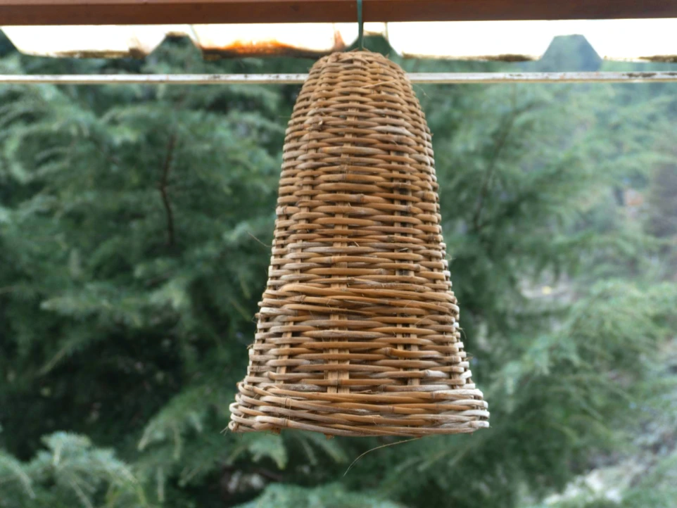 Peaceful surroundings near Tirthan River at Tirthan Midpoint Homestay