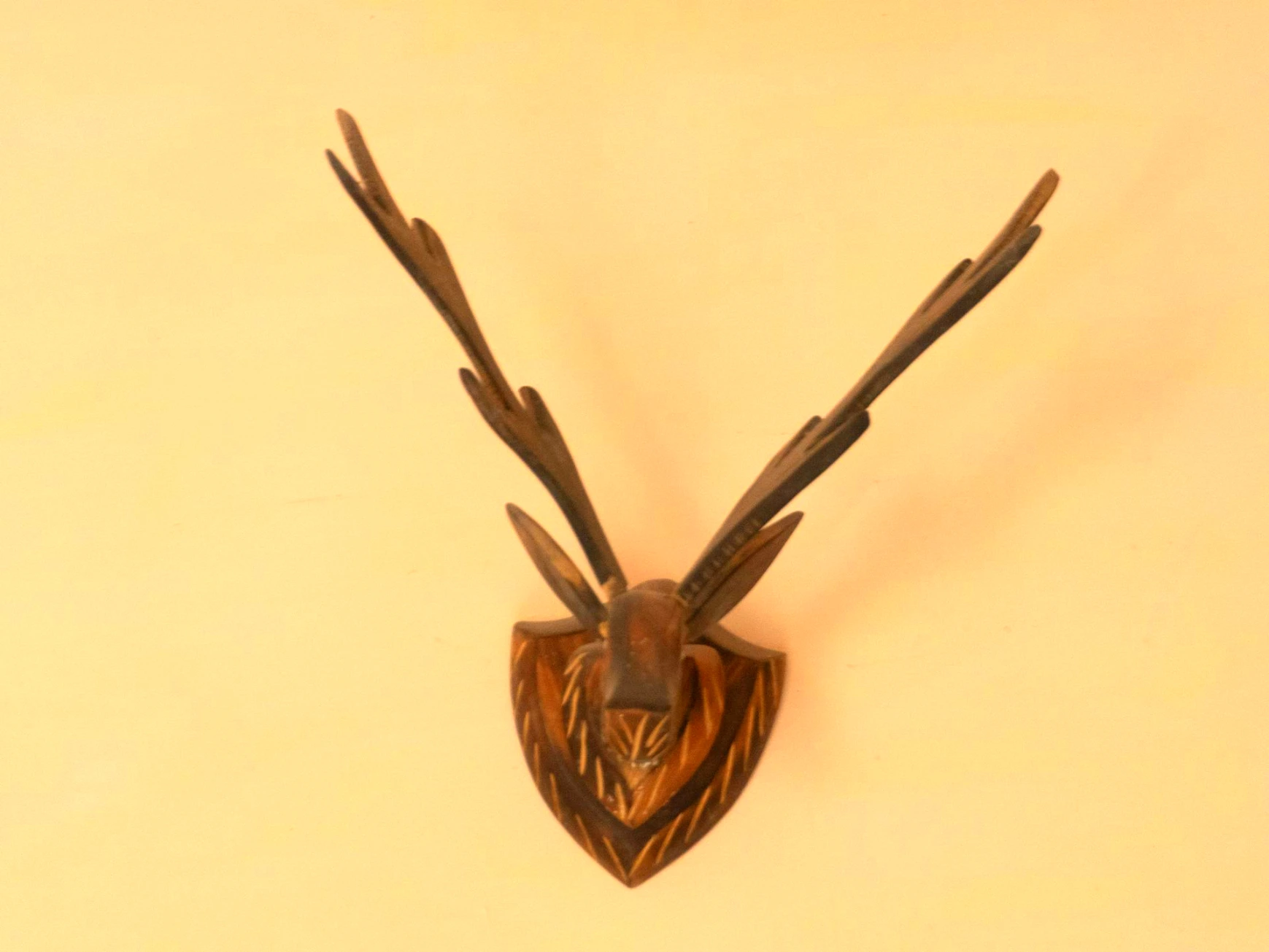 Cozy interior seating area at Tirthan Midpoint Homestay